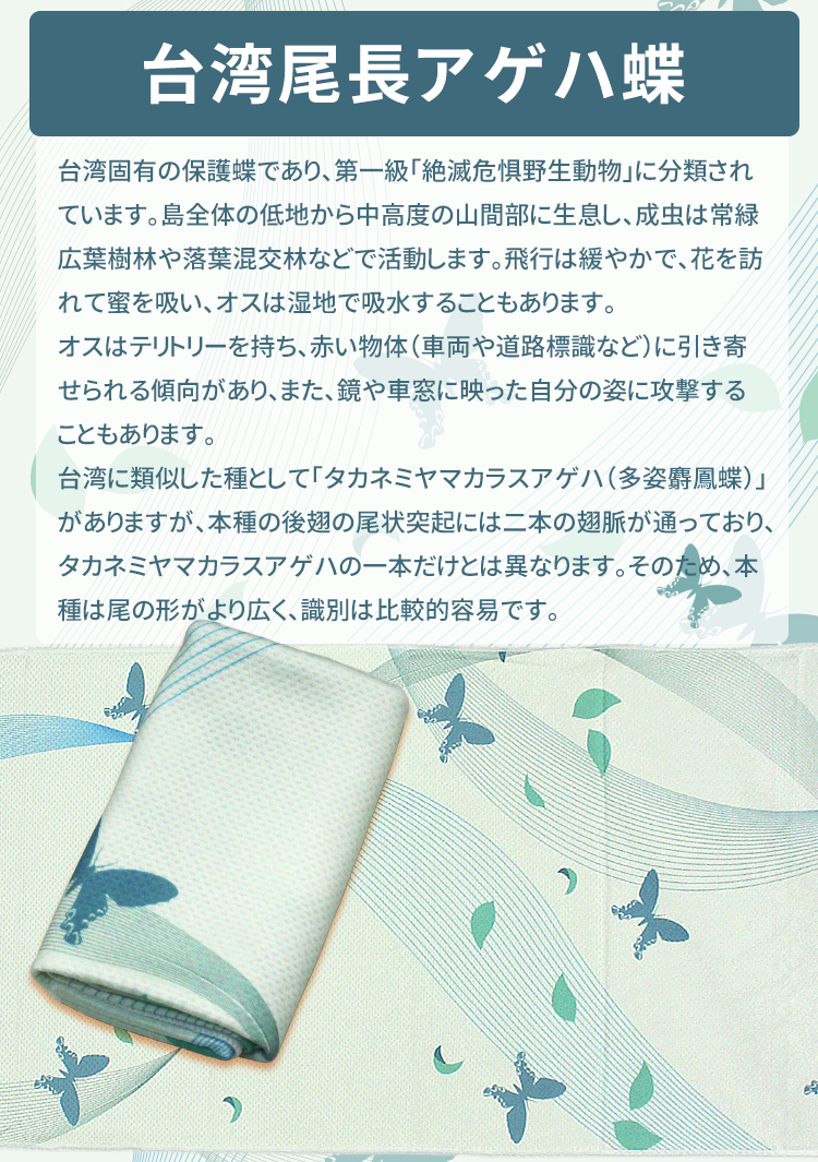 Anti-Arctic 冷却タオル 台湾尾長アゲハ蝶紹介 淡緑色 30x100cm 台湾固有種 保護蝶 デザイン説明 玉石繊維
