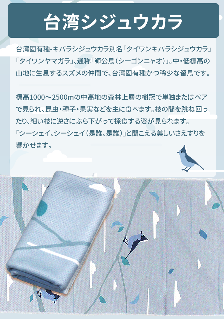 Anti-Arctic 冷感タオル 台湾シジュウカラ 淡藍色 30x100cm 玉石繊維 台湾製 スポーツ 夏 アウトドア