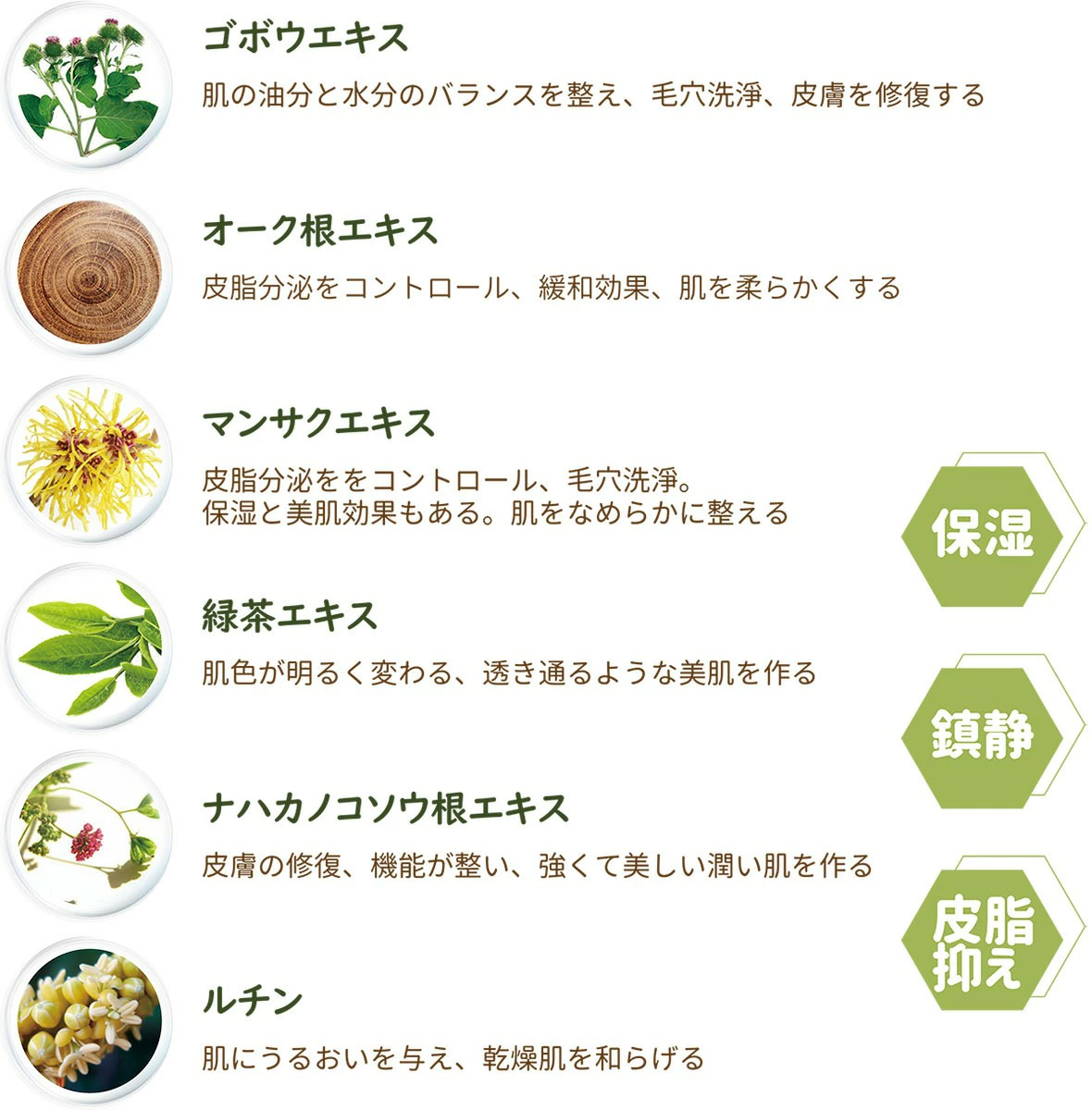 ANNIE'S WAY 緑茶マスク 天然植物成分 緑茶エキス配合 保湿 鎮静 皮脂ケア 成分説明図