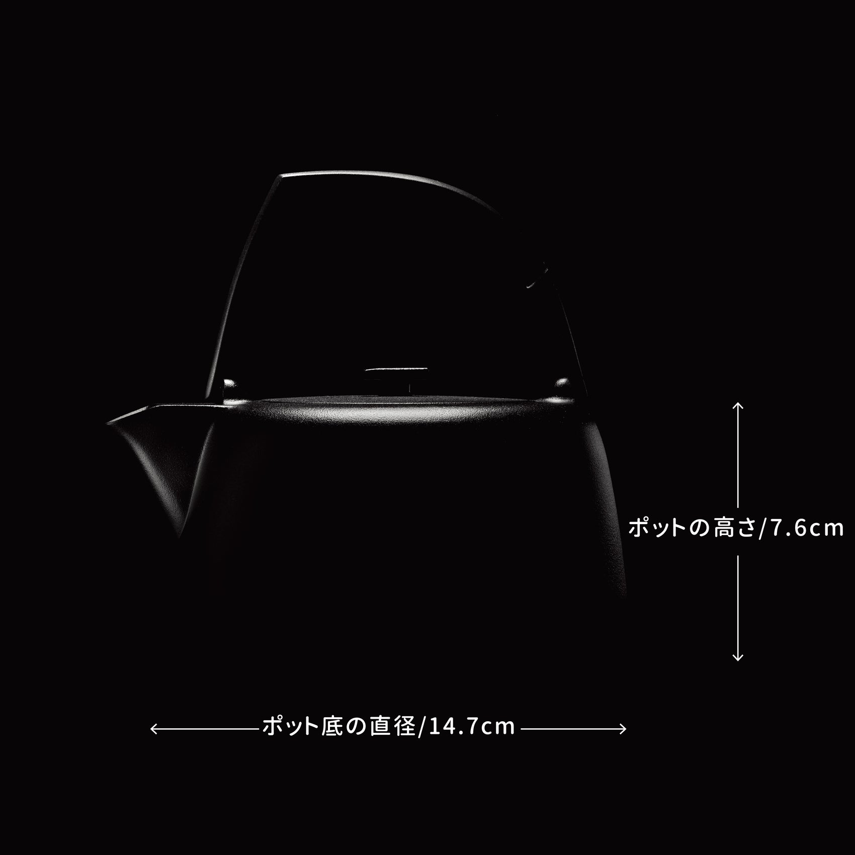 鉄瓶 掬清 0.75L 鉄器 IH対応 ケトル 直火OK 鉄急須 ポット 茶器 ギフト プレゼント 伝統工芸 キッチン用品 送料無料